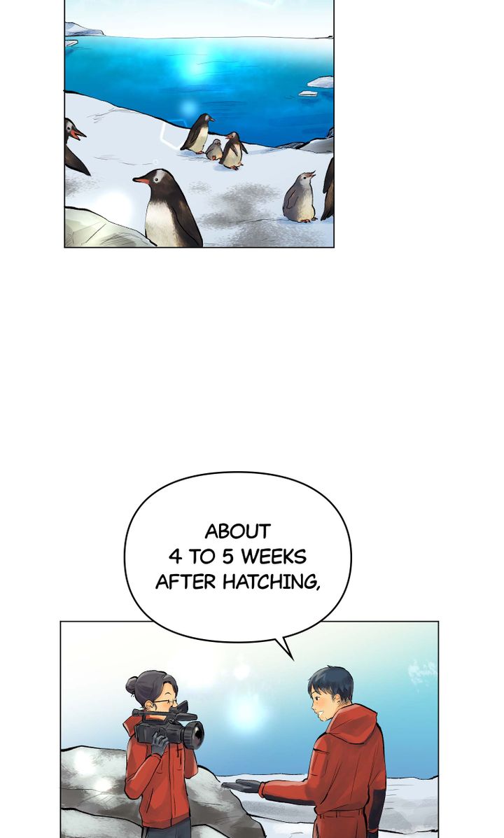 episode cut