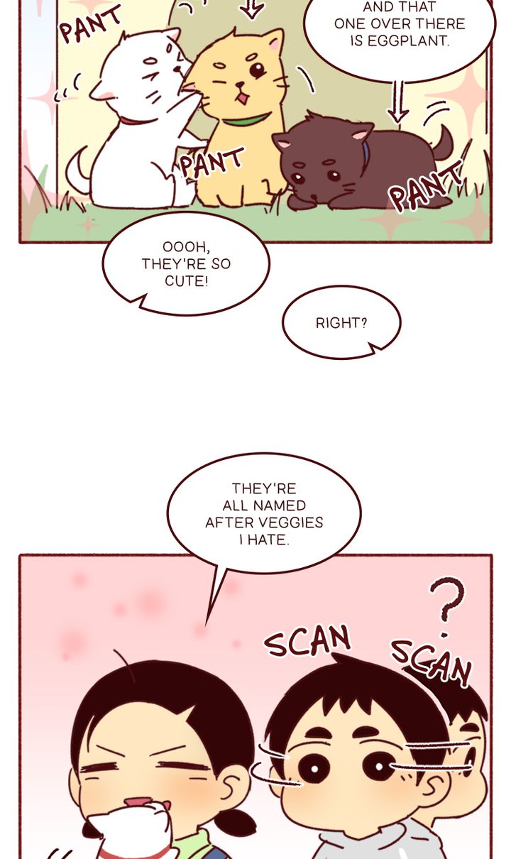 episode cut