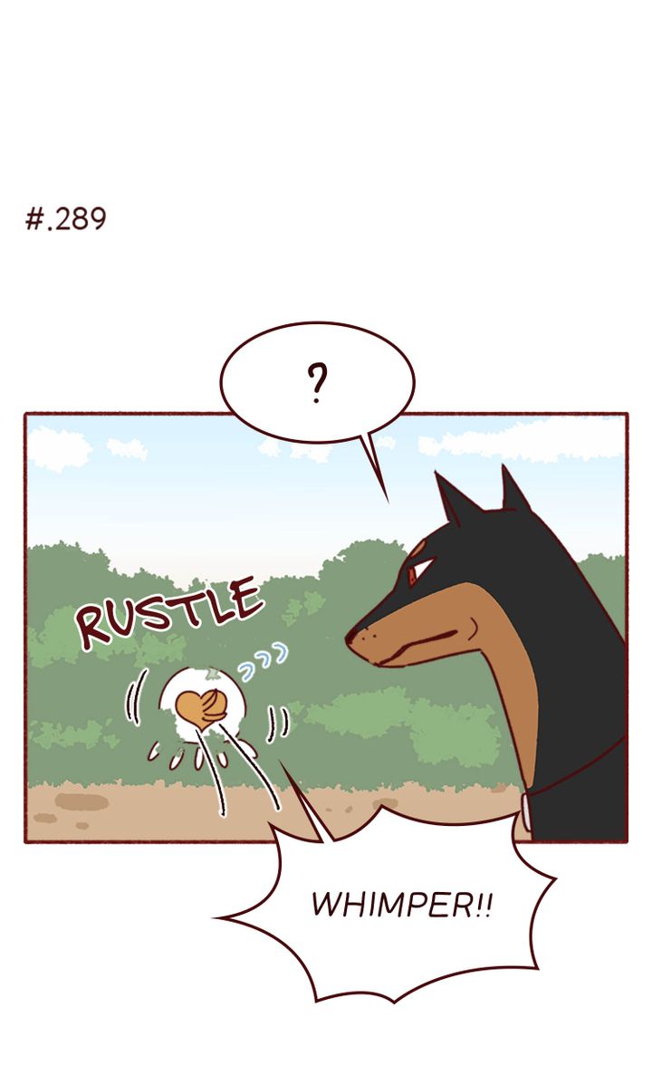 episode cut